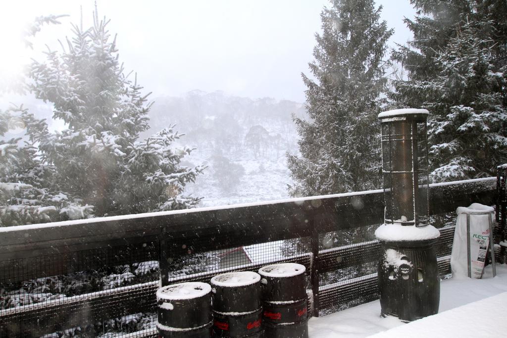 Black Bear Inn Thredbo Dış mekan fotoğraf
