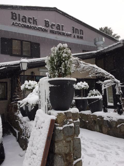 Black Bear Inn Thredbo Dış mekan fotoğraf