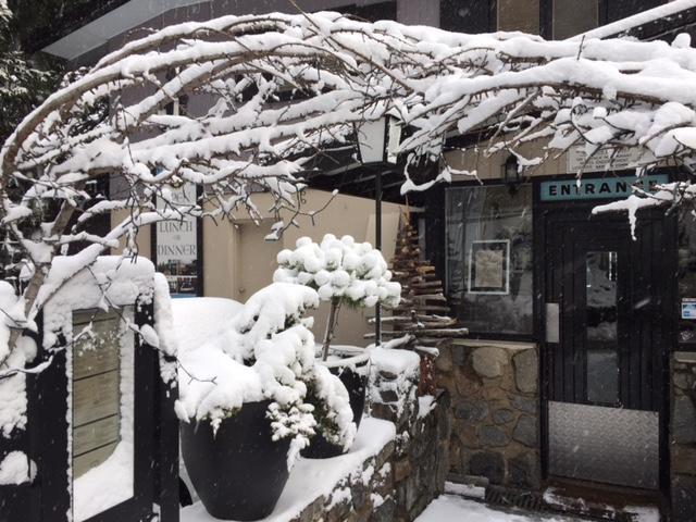 Black Bear Inn Thredbo Dış mekan fotoğraf